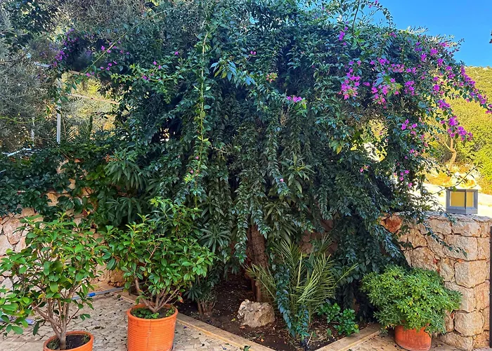 Amante Villa Kalkan